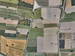 Terreno agricolo in Vendita a Marigliano, 150'000&euro;, 5000 m²