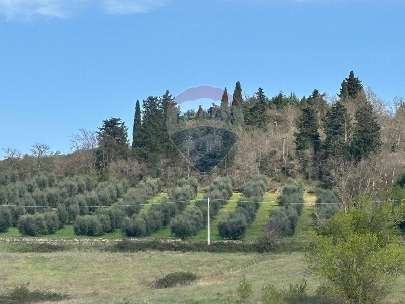 Terreno agricolo in Vendita a Perugia, 45'000€, 11030 m²