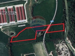 Terreno agricolo in Vendita a Jesi, 225'000€, 58976 m²