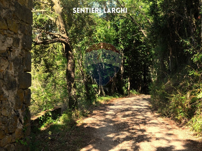 Terreno agricolo in Vendita a Roccastrada, 18'000&euro;, 2660 m²