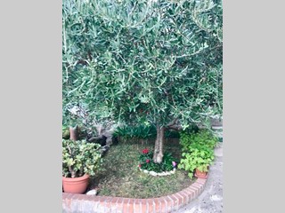 Casa Indipendente in Vendita a Massa, 188'000&euro;, 80 m²