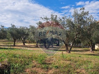 Terreno edificabile in Vendita a Lanciano, 55'000&euro;, 1574 m²