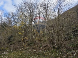 Terreno agricolo in Vendita a Setteville, 15'000&euro;, 5950 m²