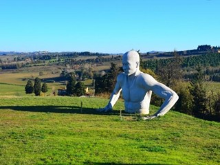 Terreno agricolo in Vendita a Peccioli, 35'000&euro;, 12020 m²