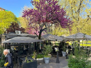 Attività commerciale in Vendita a Milano, 425'000&euro;, 85 m²