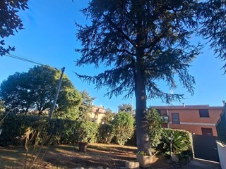 Casa Indipendente in Vendita a Roma, zona Pantano Borghese, 350'000&euro;, 250 m², con Box
