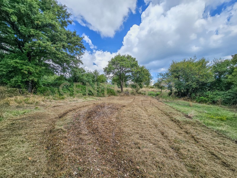 Casa Indipendente in Vendita a Semproniano, 179'350&euro;, 140 m²