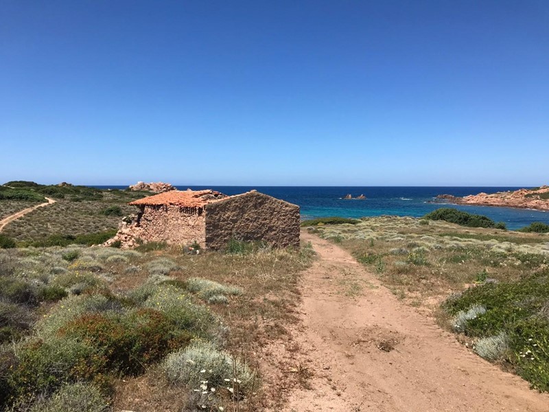 Casale in Vendita a Trinità d'Agultu e Vignola, 1'200'000&euro;, 400000 m²