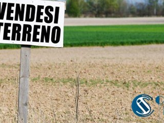 Terreno agricolo in Vendita a Pisa, zona Marina di Pisa, 20'000&euro;, 1000 m²