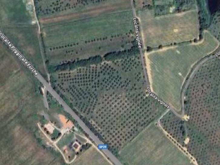 Terreno agricolo in Vendita a Piombino, 398'039&euro;, 129300 m²