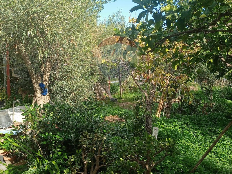 Terreno agricolo in Vendita a Misterbianco, 29'000€, 674 m²