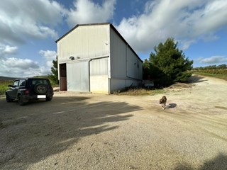Capannone in Vendita a Calatafimi Segesta, zona CONTRADA GIOVENCO, 480'000&euro;, 420 m²