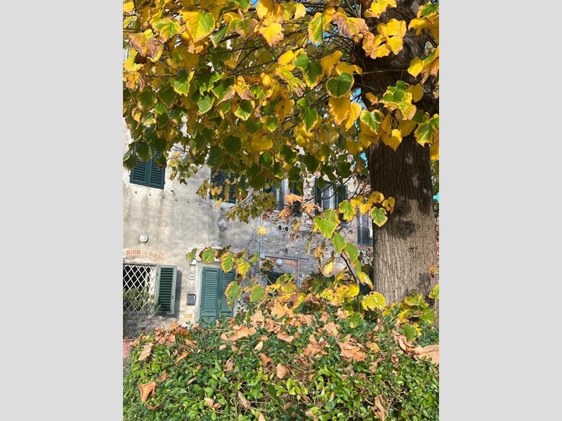 Villetta a schiera in Vendita a Capannori, zona Guamo, 250'000&euro;, 250 m², con Box