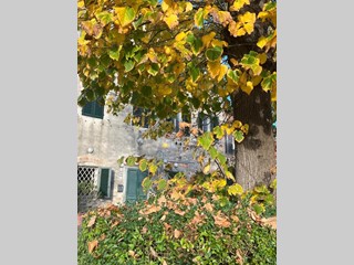 Villetta a schiera in Vendita a Capannori, zona Guamo, 250'000&euro;, 250 m², con Box