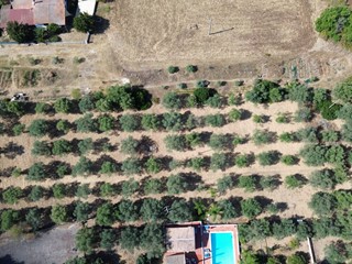 Terreno agricolo in Vendita a Siracusa, 85'000€, 5700 m²