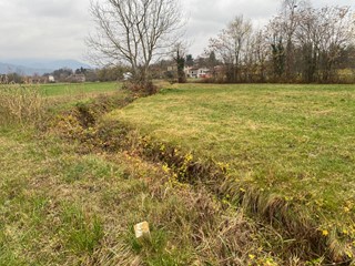 Terreno agricolo in Vendita a Mondovì, 163'000&euro;, 29015 m²