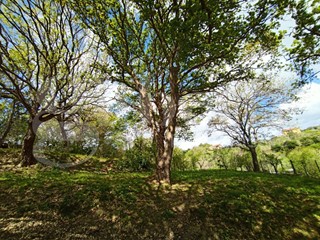 Villa in Vendita a Borgia, 40'000€, 50 m²