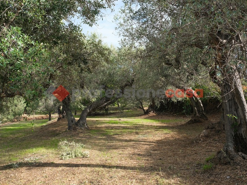 Terreno agricolo in Vendita a Pace del Mela, 39'000&euro;, 3900 m²
