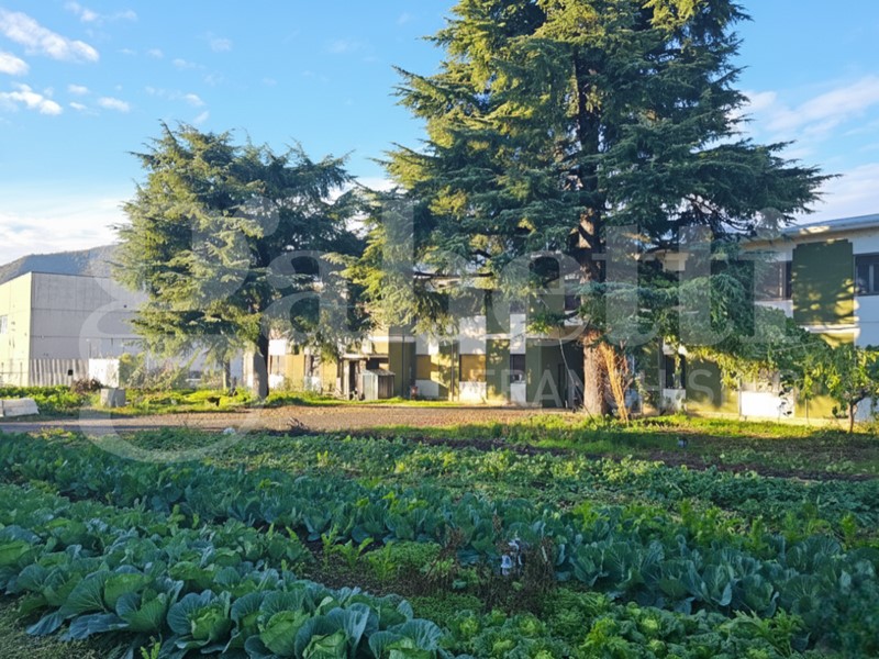 Capannone in Vendita a Botticino, 830'000&euro;, 2383 m²