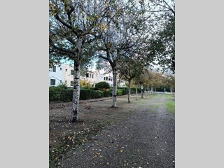 Trilocale in Vendita a Maruggio, 85'000€, 68 m², arredato