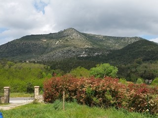 Capannone in Affitto a Lucca, zona Pontetetto, 3'400&euro;, 500 m²