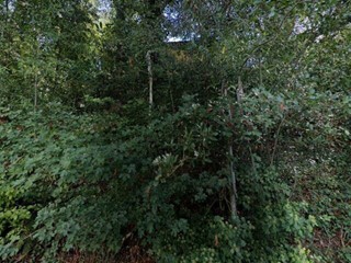 Appartamento in Vendita a Montevarchi, 172'032&euro;, 293 m²