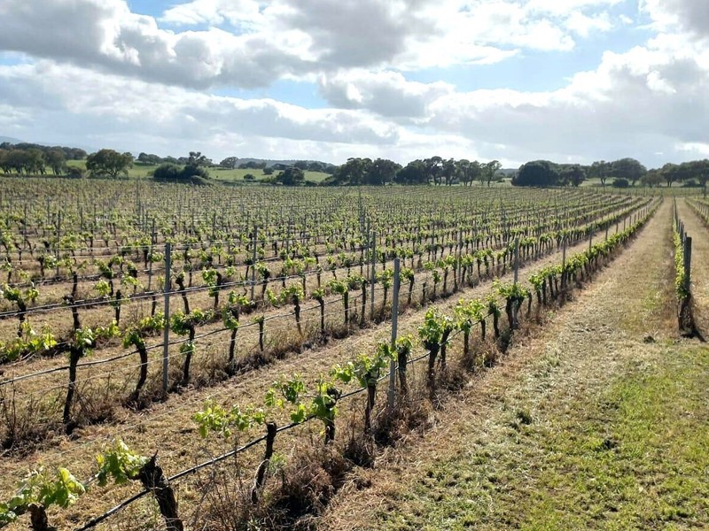 Casa Indipendente in Vendita a Berchidda, 680'000&euro;, 450 m²