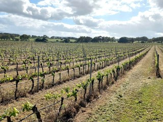 Casa Indipendente in Vendita a Berchidda, 680'000&euro;, 450 m²