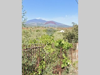 Terreno agricolo in Vendita a Belpasso, 28'000€, 28000 m²