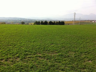 Terreno agricolo in Vendita a Benevento, 39'000€, 10000 m²