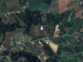 Terreno agricolo in Vendita a Codevilla, 41'553&euro;, 63140 m²
