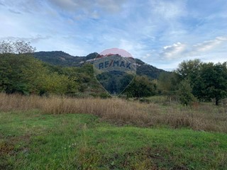 Terreno agricolo in Vendita a Francavilla di Sicilia, 18'000&euro;, 4400 m²