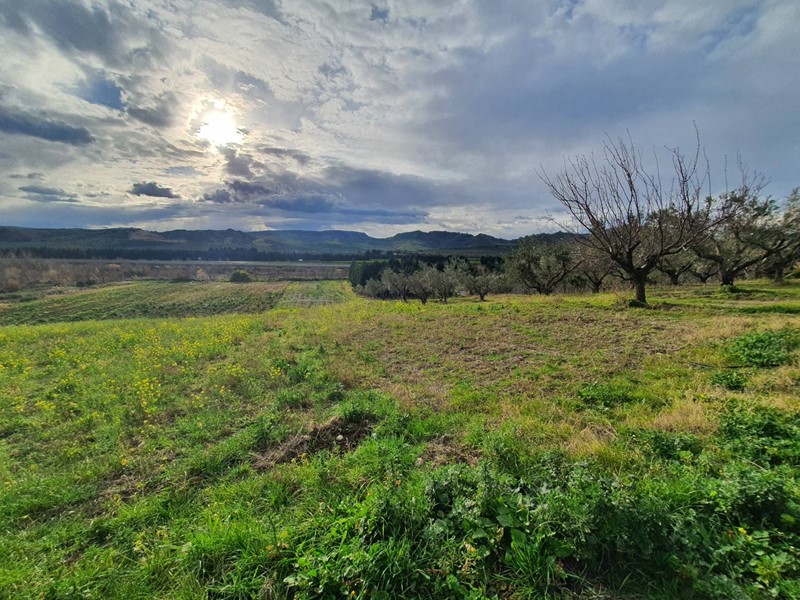 Terreno agricolo in Vendita a Catanzaro, 93'000&euro;, 14400 m²