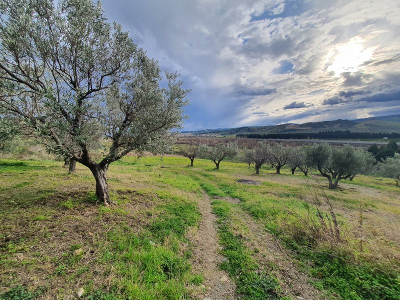 Terreno agricolo in Vendita a Catanzaro, 22'000&euro;, 6500 m²