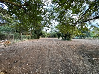 Terreno agricolo in Vendita a Borgia, 42'000€, 3000 m²