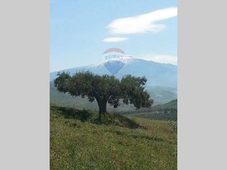 Appartamento in Vendita a Troina, 450'000€, 500 m²
