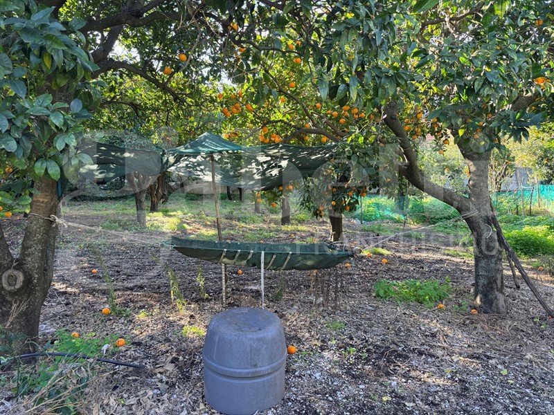 Terreno agricolo in Vendita a Sant'Egidio del Monte Albino, 75'000&euro;, 1500 m²