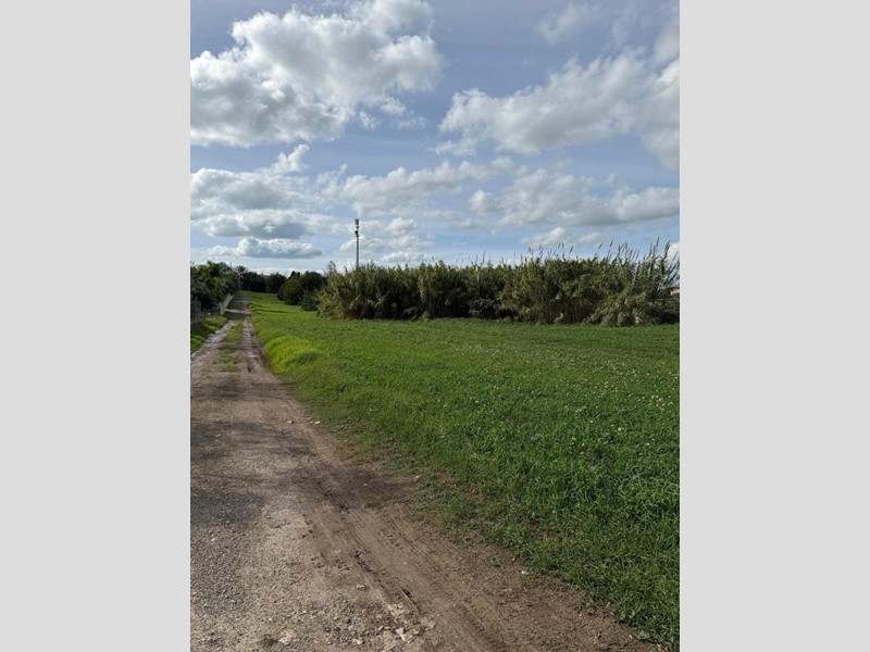 Terreno agricolo in Vendita a Pozzallo, zona MARE, 5000 m²