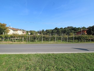 Terreno edificabile in Vendita a Gambellara, 175'000&euro;, 4200 m²