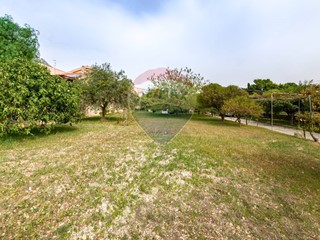 Terreno edificabile in Vendita a Erice, 100'000&euro;, 447 m²