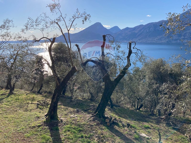 Rustico in Vendita a Brenzone sul Garda, 2'000'000&euro;, 190 m²