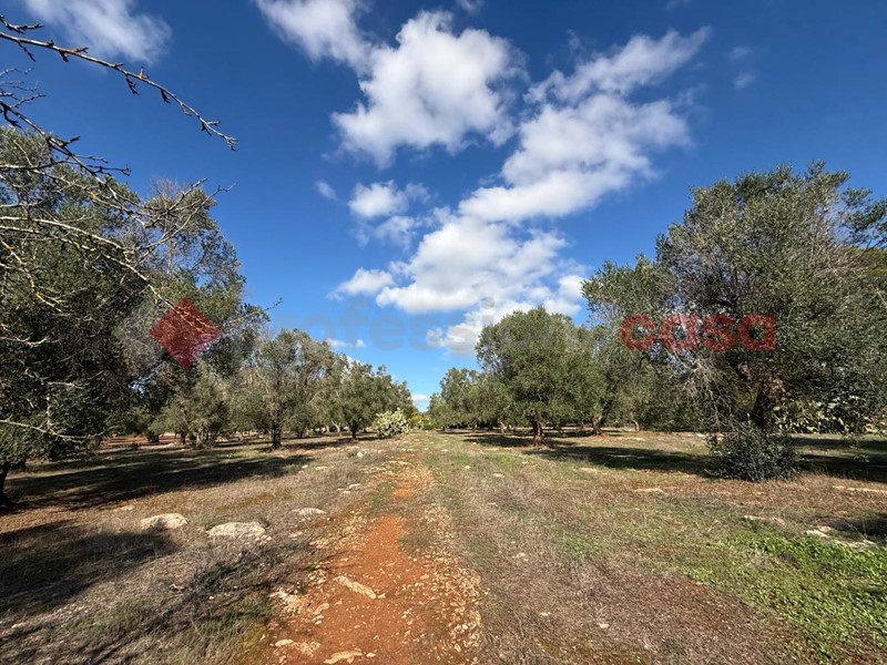Terreno agricolo in Vendita a Manduria, 33'000&euro;, 18000 m²