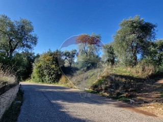 Terreno agricolo in Vendita a Vieste, 20'000&euro;, 7500 m²