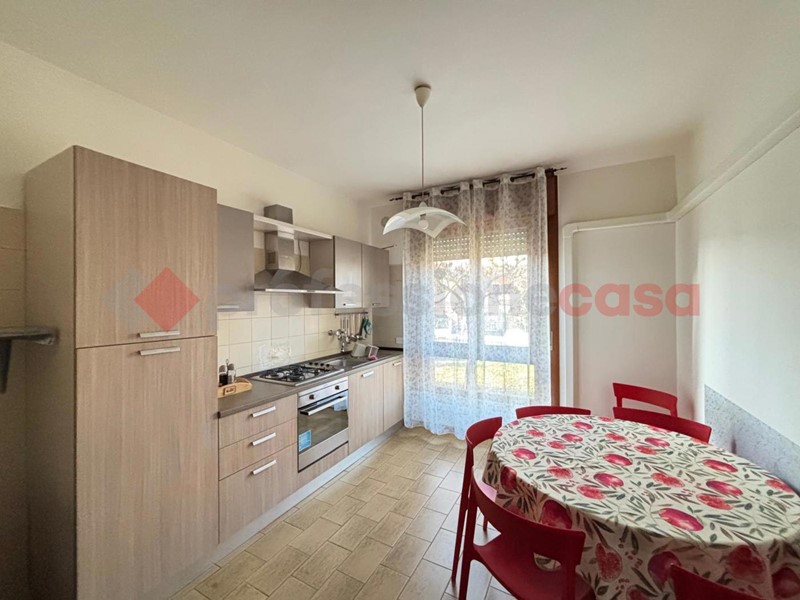 Quadrilocale in Affitto a Nogara, 700&euro;, 130 m²