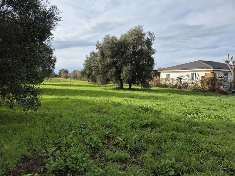 Terreno agricolo in Vendita a Grosseto, 45'000&euro;, 1500 m²