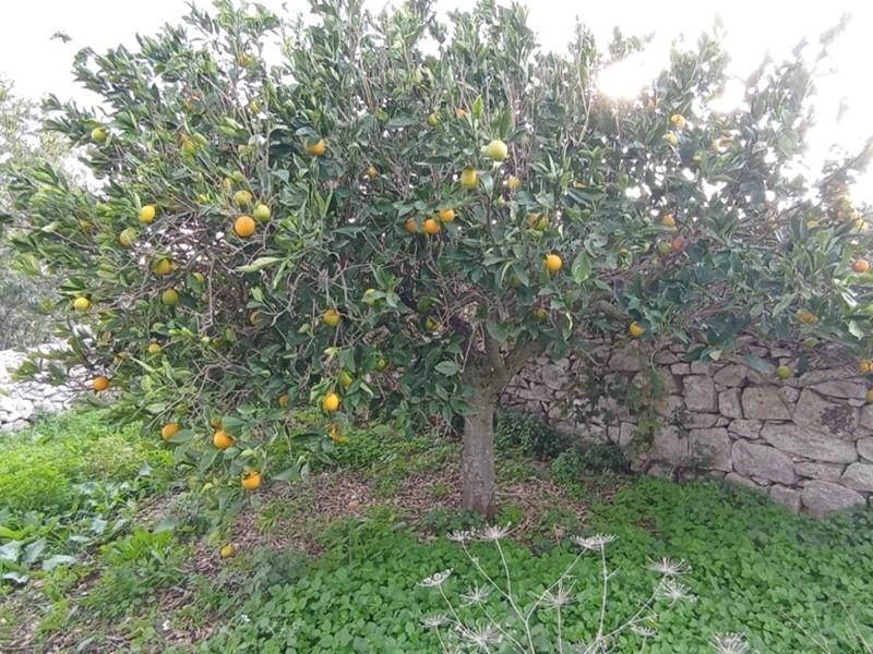 Casa Indipendente in Vendita a Ragusa, 60'000&euro;, 120 m²