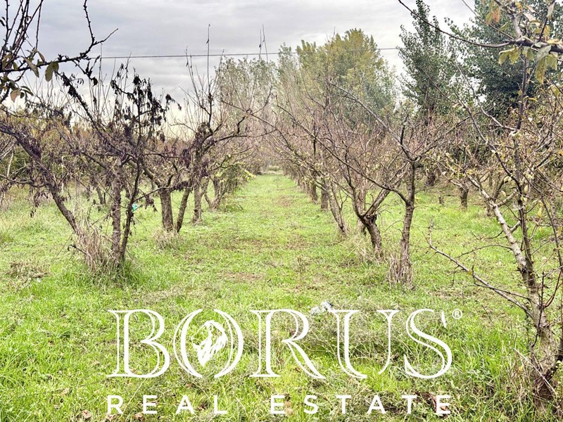 Terreno edificabile in Vendita a San Marcellino, 169'000&euro;, 1300 m²