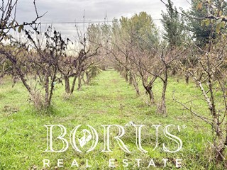 Terreno edificabile in Vendita a San Marcellino, 169'000&euro;, 1300 m²