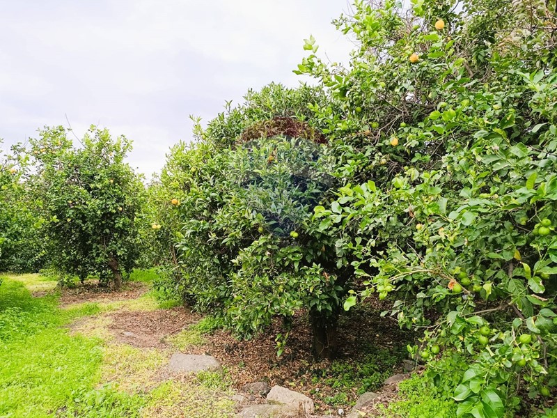 Terreno edificabile in Vendita a Riposto, 98'000€, 4764 m²