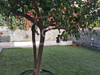 Quadrilocale in Affitto a Catania, 950€, 110 m²